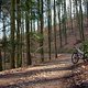 2014 Stumpjumper FSR Elite 29 02