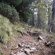 DrehenvonIMGP0100