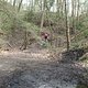 DSCF3195