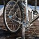 DSC 3934a