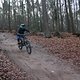IMG 1185