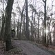IMG 1406