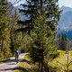 Bei Schwangau präsentiert sich das Schloss Neuschwanstein majestätisch am Berg.