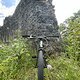 IMG 2308