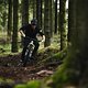 Solche Trails sind wie gemacht für das Sentinel: Loam bis zum Abwinken und die ein oder andere Wurzel, die das Fahrwerk etwas fordert