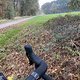 Fahrt am Morgen