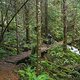 BC Squamish - Stl&#039;lhalem Sintl&#039;