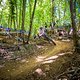 20250511-03 EWS - Armuin