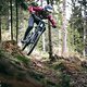 Sender-Wald-2071