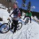 IMG 2774