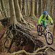 Auf dem Trail kann man es mit dem EMANON CAN EN sehr gut laufen lassen. Giacomo genießt als Downhiller den leichten Vortrieb. Foto von Mahsa Farshidfar