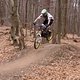 IMG 3376