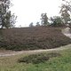 Foto0700