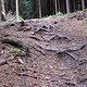 IMG 6966