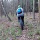 Spandauer Forst