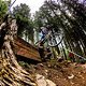 Auch 2022 geht es bei den World Cups in der Lenzerheide wieder hoch her