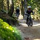 MTBZONE GEISSKOPF 02