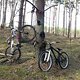 Bike-Baum