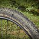 ... während am Heck ein Hans Dampf zum Einsatz kommt. Gegenüber dem vielfach gefahrenen Rock Razor bevorzugt Jasper hier den besseren Grip. Der Tubeless-Aufbau ist mit den verwendeten Syntace W35 Laufrädern kein Problem.