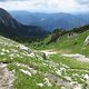 alpin-trail maggse-christoph-bine