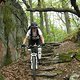 IMG 2818