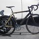 Bianci Carbon Gold