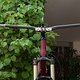 IMG 6071