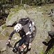 DSC00117