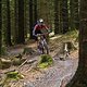 Bikepark Wales - Vicious Valley