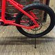 Cannondale Hooligan 2015, Acid Red