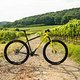 Tannenwald Bikes Luchs Pinion von IBC-User Derstnuff