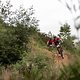 Rider decending single track behind Houw Hoek Hotel during stage 3 of the 2019 Absa Cape Epic Mountain Bike stage race held from Oak Valley Estate in Elgin, South Africa on the 20th March 2019.

Photo by Xavier Briel/Cape Epic

PLEASE ENSURE THE 