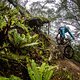 NZEnduro19 BB 898A9518