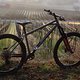 IMG 1598 opti