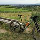 REHAWien (46)