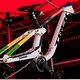 Loris Vergier hat zu seinem WM-Titel dieses sehr spezielle Bike von Trek bekommen.
