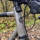 Lunch Ride