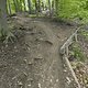 Gratis Wurzeltrail