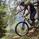 Dolomiten 1025/1