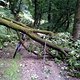 Foto0035