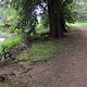 IMG 0598