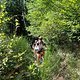 IMG 4316