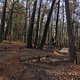 IMG 1786