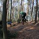 IMG 1684