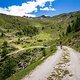 20160717-37L Goldsee Trail