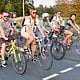 Critical Mass 1908 8222a