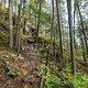 BC Squamish - Pleasure Trail