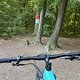 IMG 1602