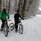 IMG 2638