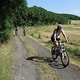 IMG 3941
